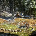 Apartment 3 спални - електрическо подово отопление - бърз Wifi - веранда - в гората - Warm Forest Nest