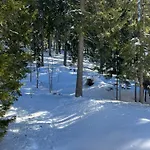 Apartment 3 спални - електрическо подово отопление - бърз Wifi - веранда - в гората - Warm Forest Nest Pamporovo