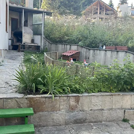 Apartment 3 спални - електрическо подово отопление - бърз Wifi - веранда - в гората - Warm Forest Nest