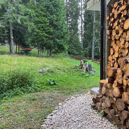 3 спални - електрическо подово отопление - бърз Wifi - веранда - в гората - Warm Forest Nest