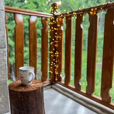 3 спални - електрическо подово отопление - бърз Wifi - веранда - в гората - Warm Forest Nest Apartment Pamporovo