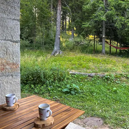 Apartment 3 спални - електрическо подово отопление - бърз Wifi - веранда - в гората - Warm Forest Nest Pamporovo