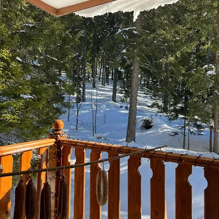 3 спални - електрическо подово отопление - бърз Wifi - веранда - в гората - Warm Forest Nest Apartment
