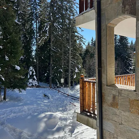 3 спални - електрическо подово отопление - бърз Wifi - веранда - в гората - Warm Forest Nest Apartment