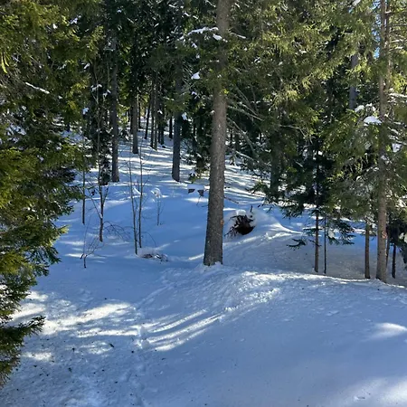 Apartment 3 спални - електрическо подово отопление - бърз Wifi - веранда - в гората - Warm Forest Nest Pamporovo