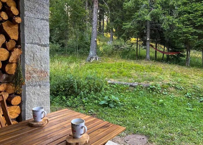 Apartment 3 спални - електрическо подово отопление - бърз Wifi - веранда - в гората - Warm Forest Nest Pamporovo