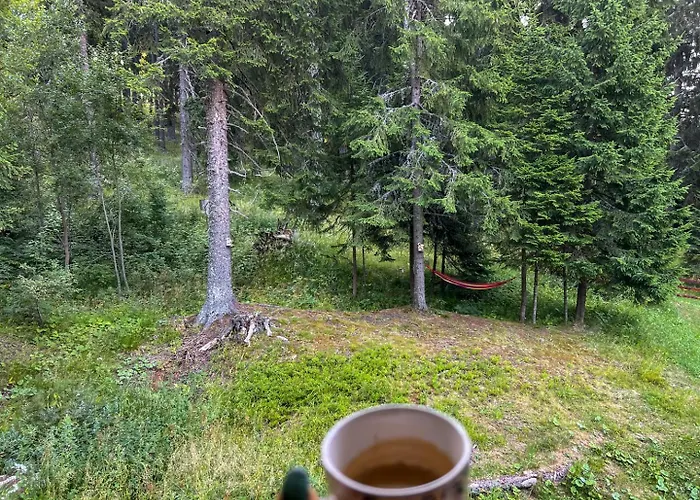 3 спални - електрическо подово отопление - бърз Wifi - веранда - в гората - Warm Forest Nest * Pamporovo